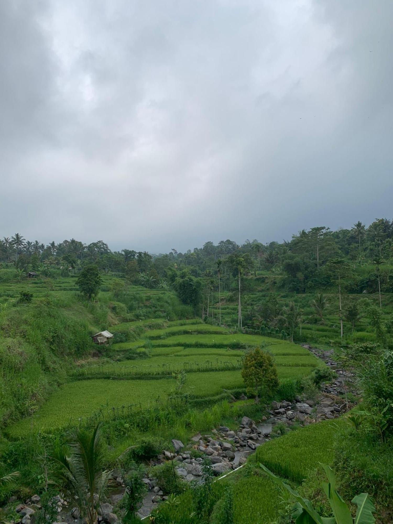 Avocado Homestay Tetebatu Exterior photo